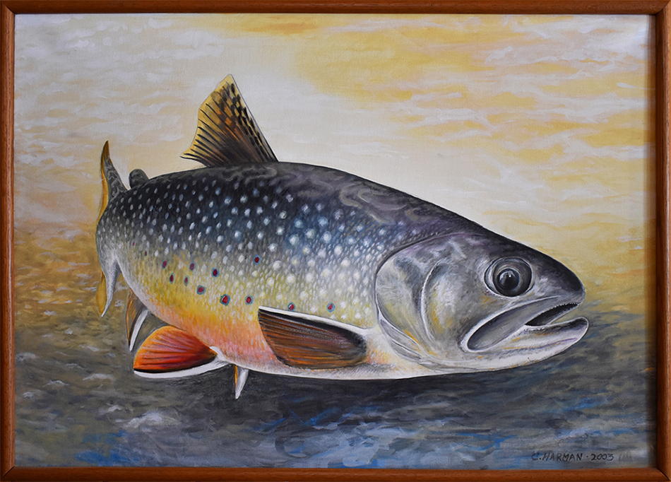 Fine Art, Fish Art, Fish Art Paintings, Trout Paintings, Brook Trout Paintings, Brookie
