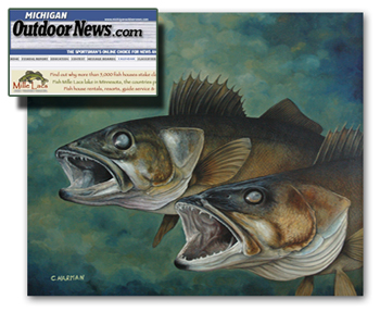 Michigna Outdoor News Wildlife Calendar - Walleye Art
