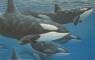 Whale Art - Marine Life Paintings