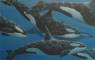 Whale Art - Marine Life Paintings