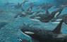 Whale Art - Marine Life Paintings