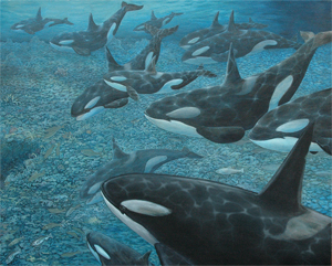 Ocean Life Paintings
