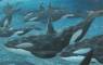 Whale Art - Marine Life Paintings