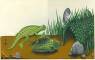 Children's Book Art and Children's Book Illustration