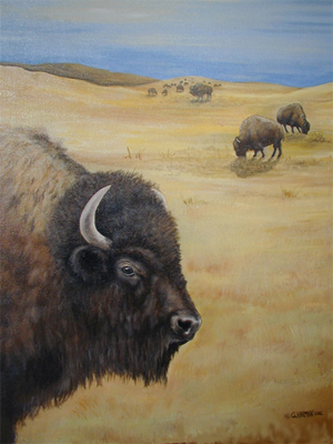 Wildlife Art - Buffalo Painting