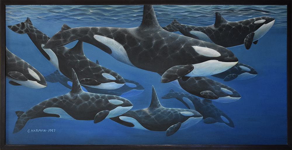Whale Art Paintings, Whale art, Killer Whale Art, Orcas Paintings, Orca Art, Whales, Orcas, Paintings, Art