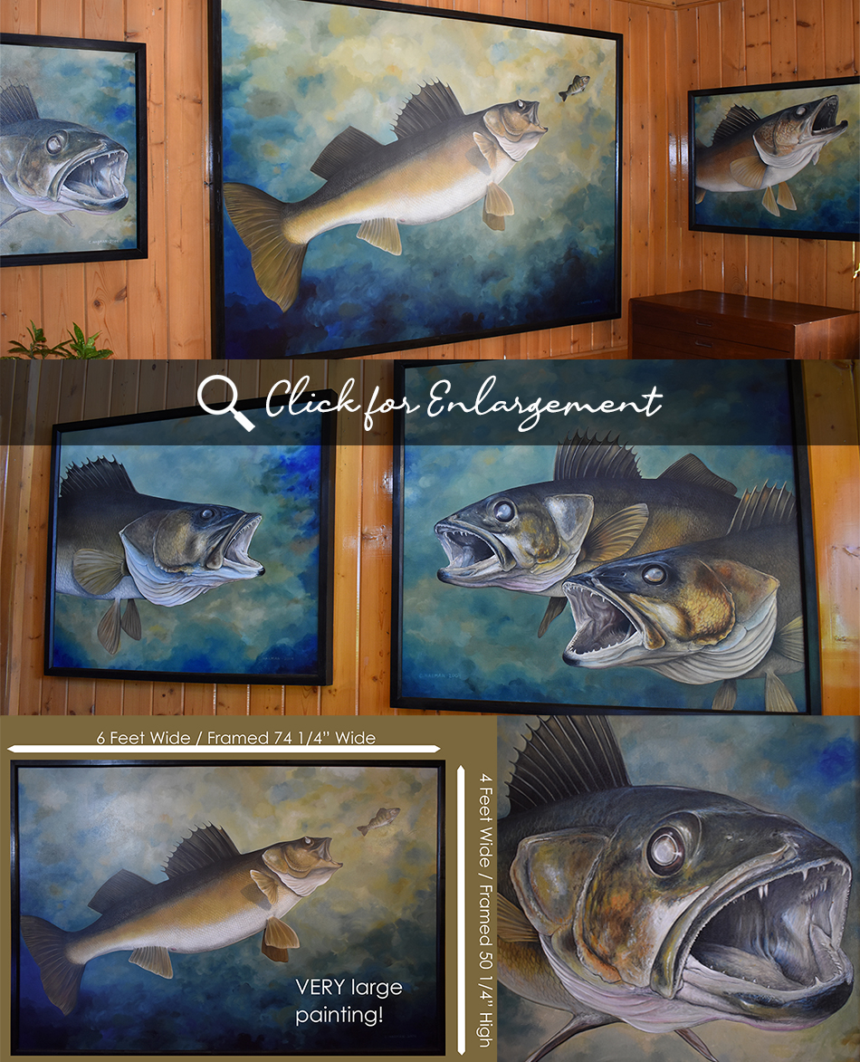Fine Art Walleye Paintings by Chris Harman, Walleye Art Paintings, Huge Large Walleye Paintings, Cabellas Inspired Walleye Paintings