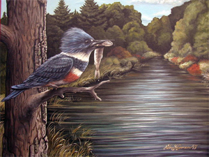 Kingfisher
