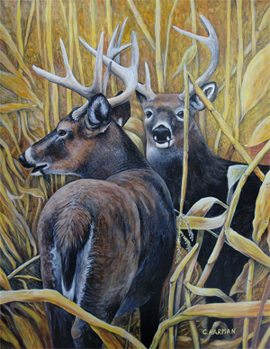 Wildlife Art - Deer Painting "Falls Harvest"
