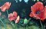 Flower Paintings, Flower Prints, Flora Art, Garden Art