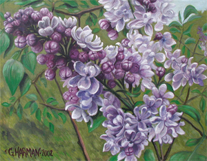 Lilacs Flower Painting