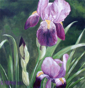 Purple Iris Flower Painting