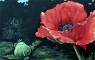 Flower Paintings, Flower Prints, Flora Art, Garden Art