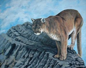Wildlife Art Paintings